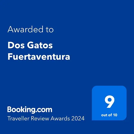 Dos Gatos Fuertaventura Caleta De Fuste